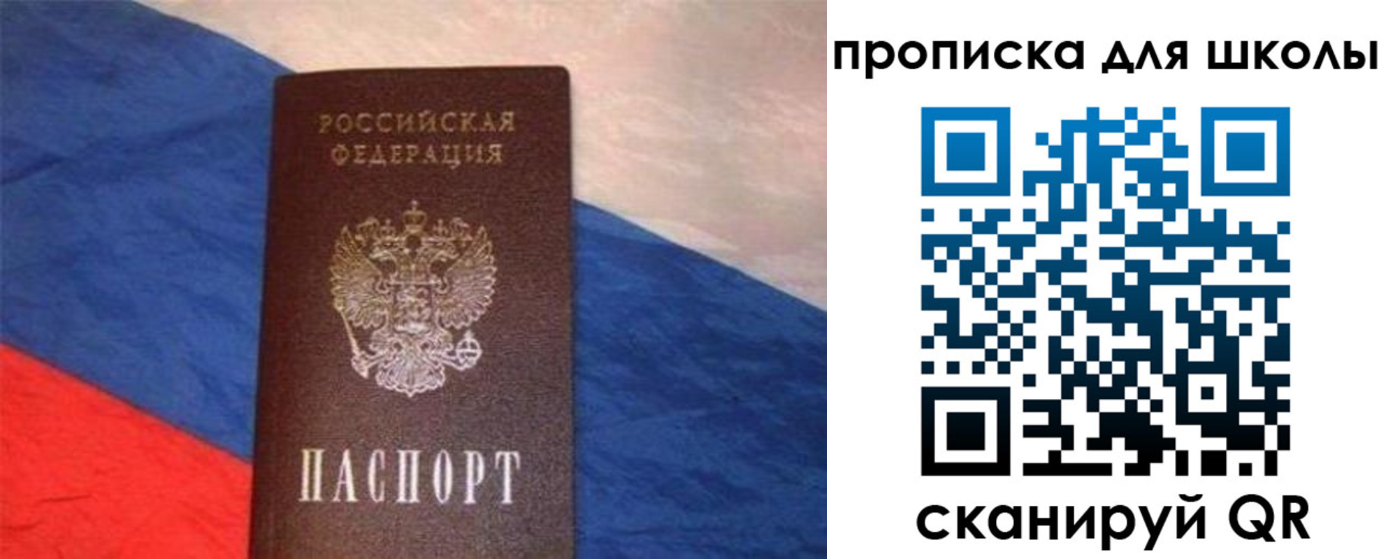 прописка поиск в Зеленогорске
